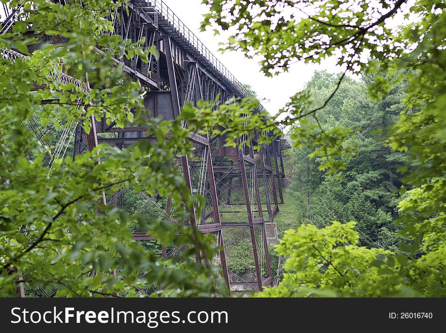 1887 Iron Railroad Bridge Through The Trees