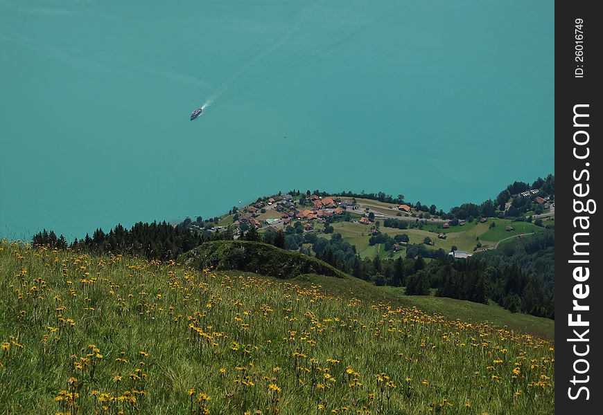 Meadow With Mountain Arnica, Lake And Village Oberried. Meadow With Mountain Arnica, Lake And Village Oberried