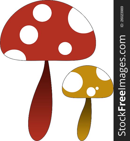 Two Amanita muscaria (or fly agaric) mushrooms one yellow and one red