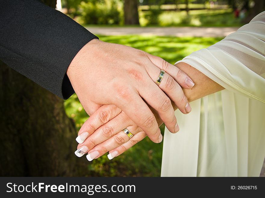 Wedding rings in the weddings day.