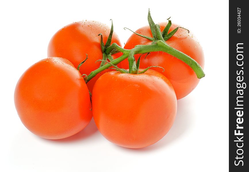 Four Fresh Ripe Tomatoes isolated on white background. Four Fresh Ripe Tomatoes isolated on white background