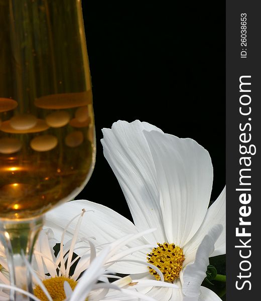 Focus on a White cosmos with glass of wine in foreground