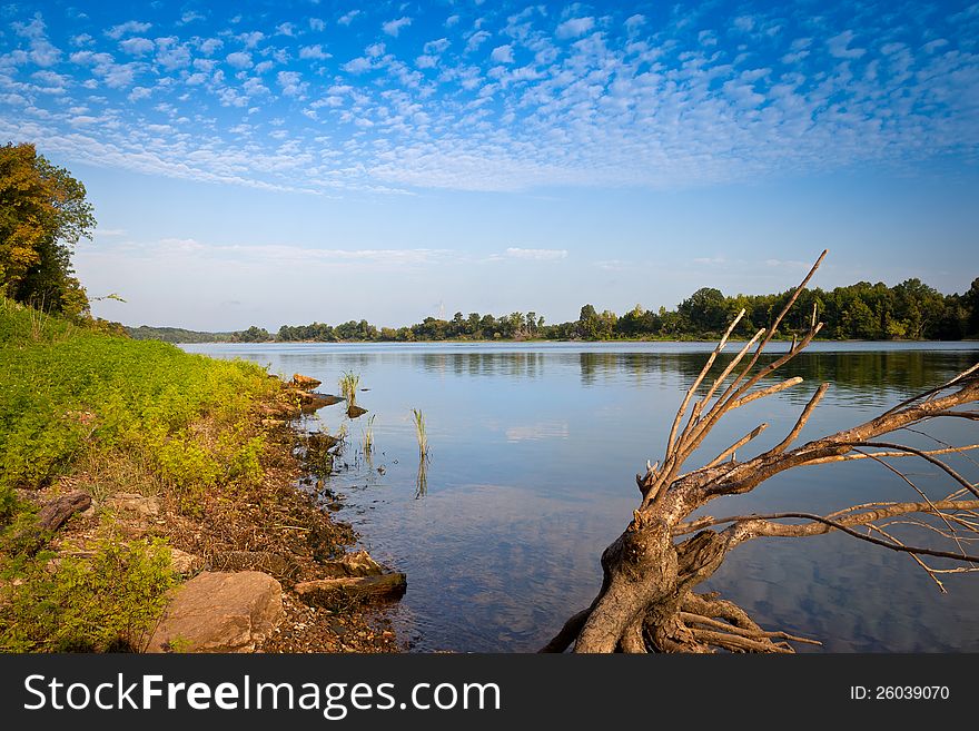 View of Tennessee River from Clifton, Tennessee