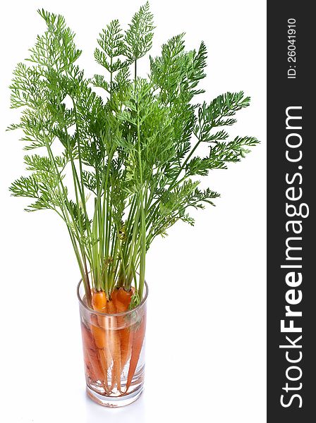 Carrots With Leaves