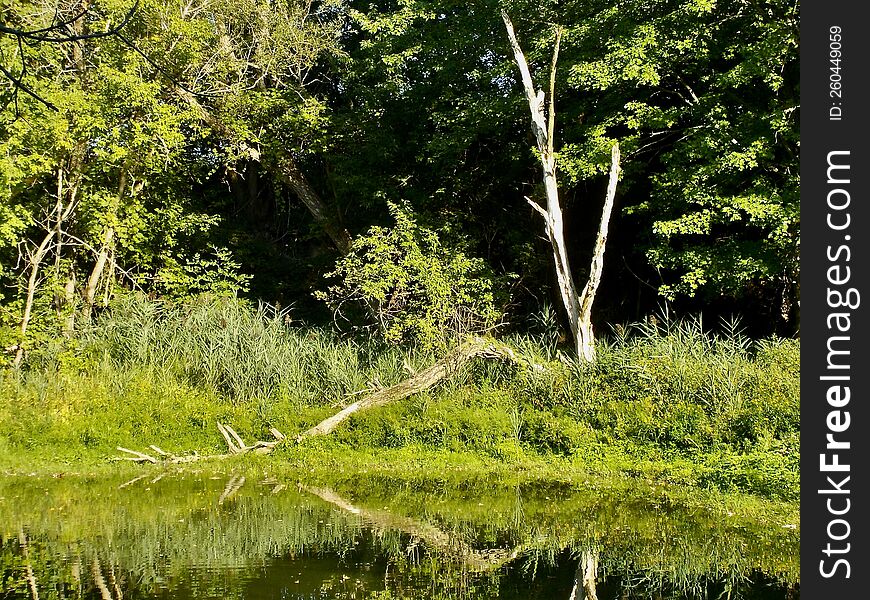 On The Bike Trail In Canada