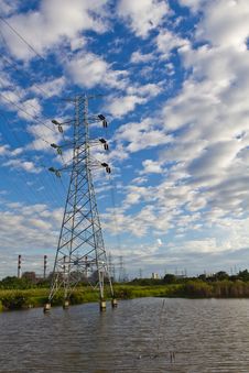 High Voltage Power Transmission Lines And Pylons Royalty Free Stock Image High Voltage Power Transmission Lines And Pylons Royalty Free Stock Image