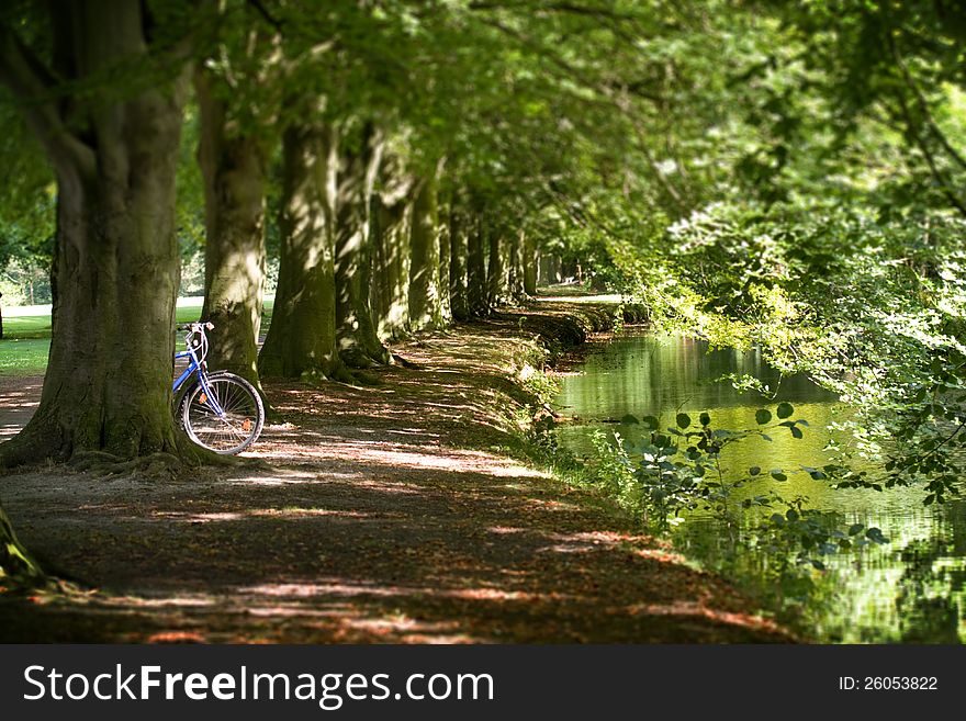 Bicycle peeping through the trees in the park in The Hague. Bicycle peeping through the trees in the park in The Hague