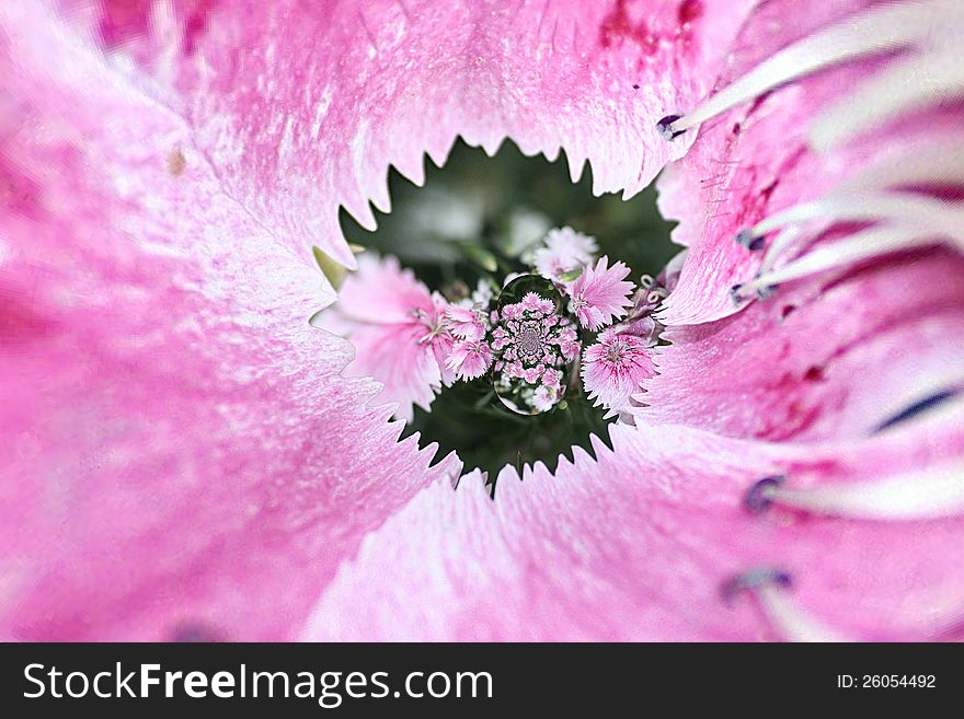 Abstract flower background in soft pink color.