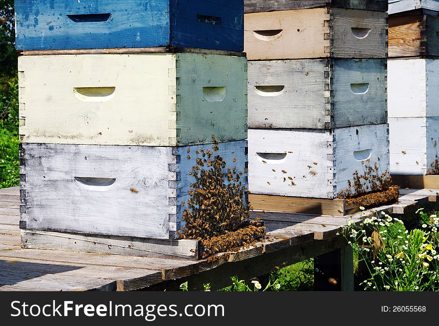 Bees around a beehive on a warm summer day. Bees around a beehive on a warm summer day.