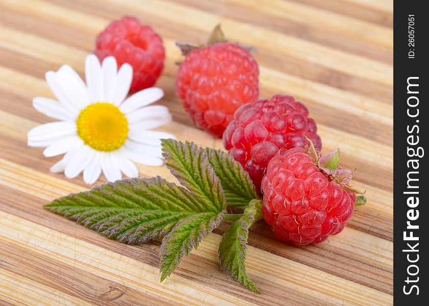 Fresh Ripe Raspberries with Leaf and White Chamomile Flower on Old Wooden Hardboard. Fresh Ripe Raspberries with Leaf and White Chamomile Flower on Old Wooden Hardboard