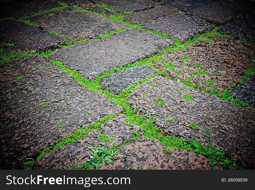 Green grasses on porous rock floor