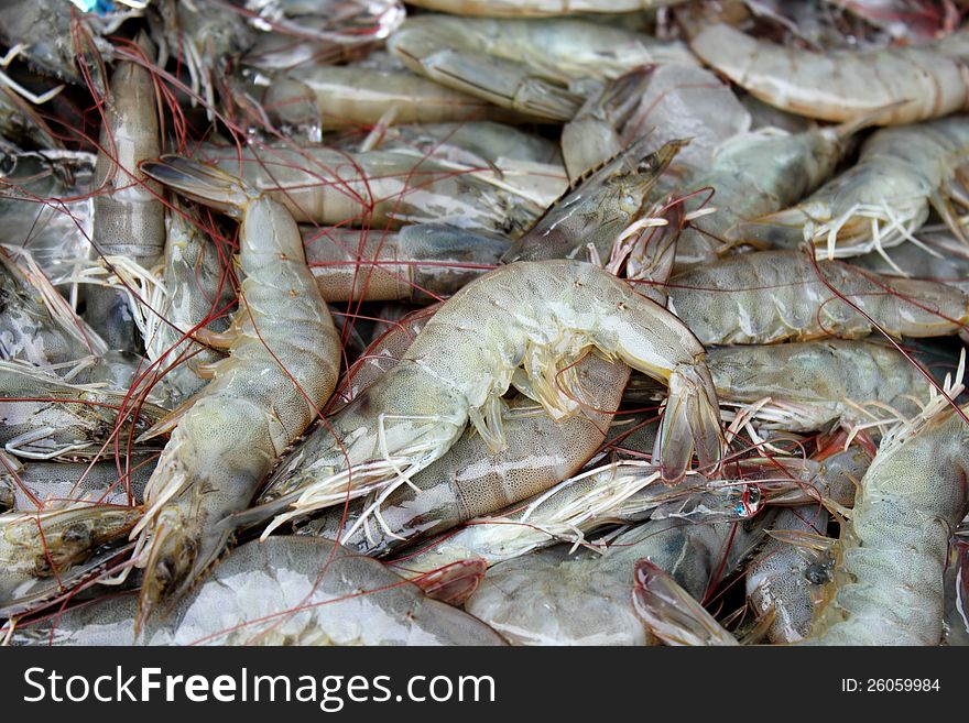 The large fresh shrimp at the market