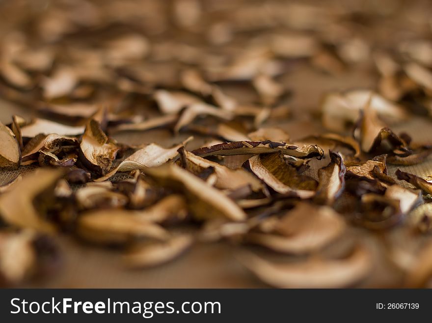 Cut mushrooms drying on a net. Cut mushrooms drying on a net.