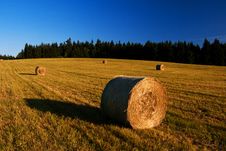 Straw Bales Royalty Free Stock Image Straw Bales Royalty Free Stock Image