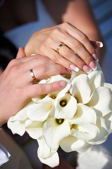 Hands With Wedding Gold Rings Happy Newlyweds Stock Images Hands With Wedding Gold Rings Happy Newlyweds Stock Images