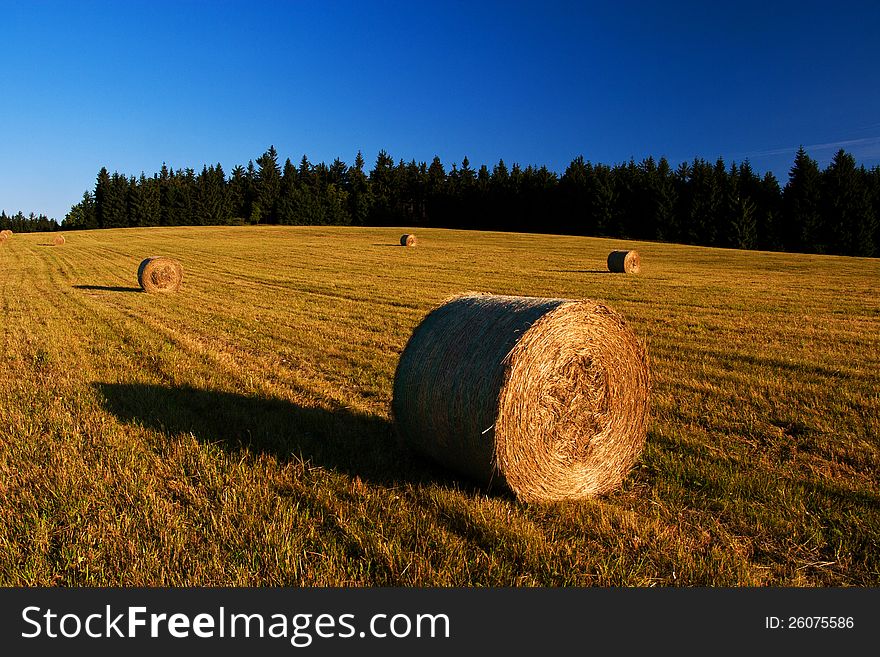 Straw bales in the morning.