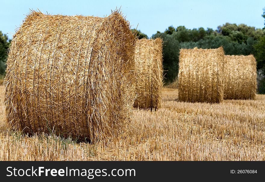 Straw bales in the day light