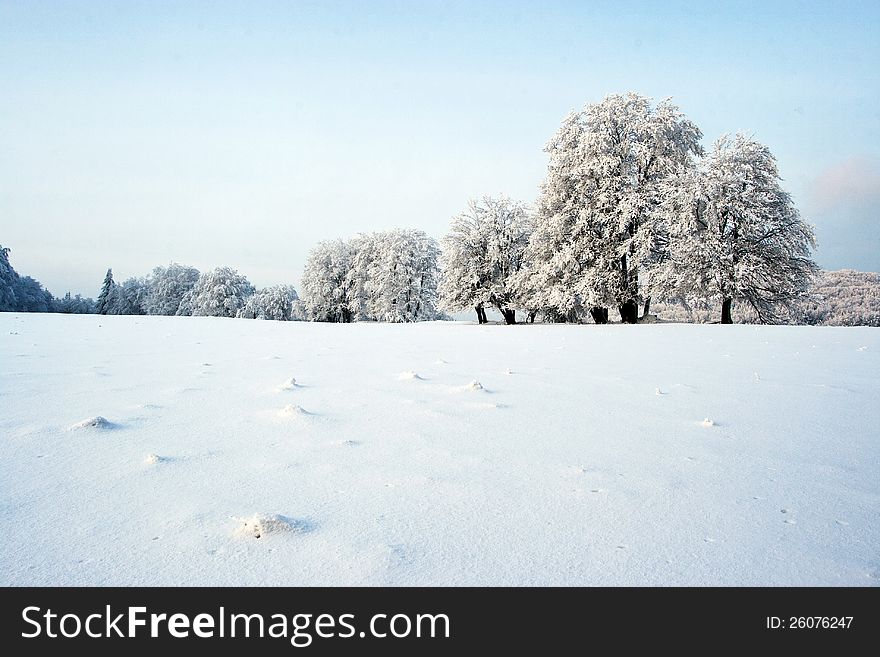 Winter landscape in the czech.
