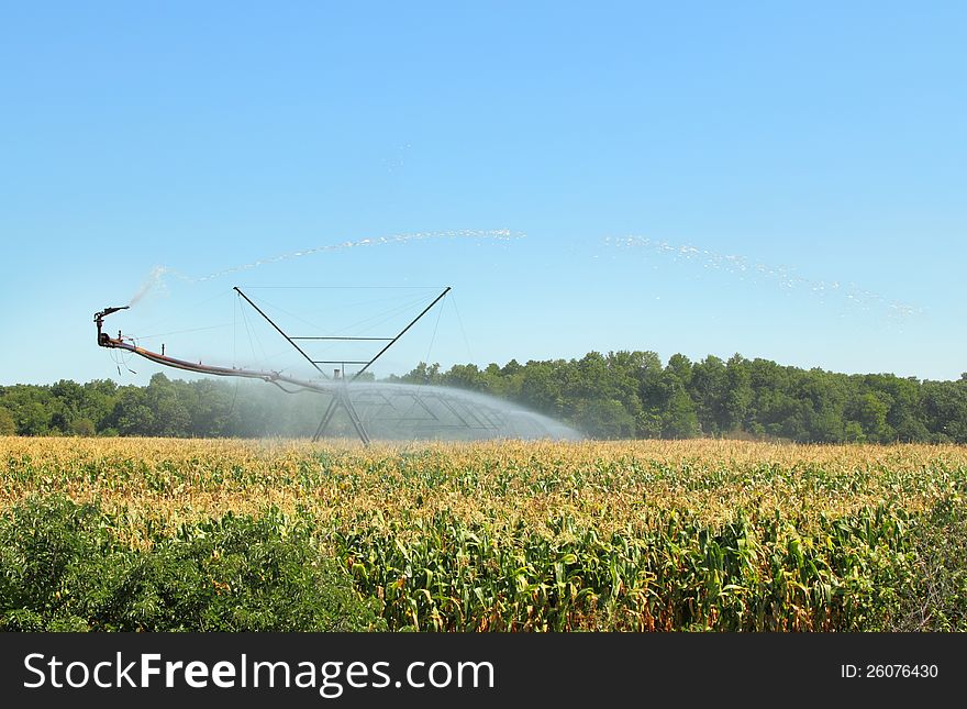 Irrigation equipment watering a field of corn