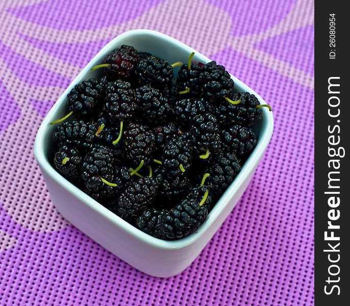 Wild fresh mulberry in a white bowl ready to be served