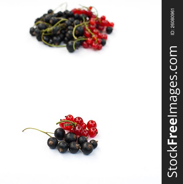 Red and black currant on a white background