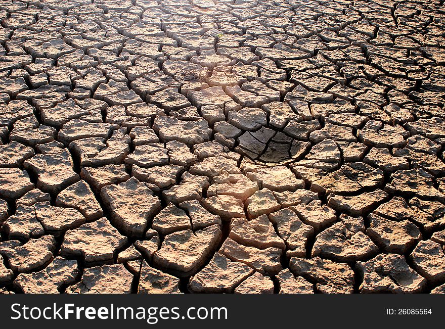 Dry Cracked Earth