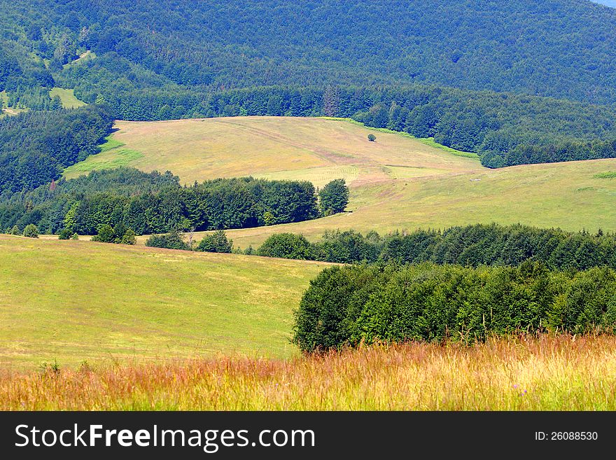 Beautiful meadows in Carpathian Mountains in Ukraine. Beautiful meadows in Carpathian Mountains in Ukraine