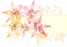 Floral Design With Lily And Frame For Text Stock Photography Floral Design With Lily And Frame For Text Stock Photography