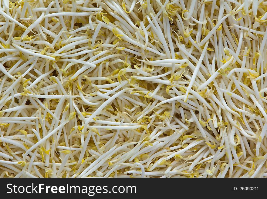 Background or texture image of Organic mung bean sprouts.