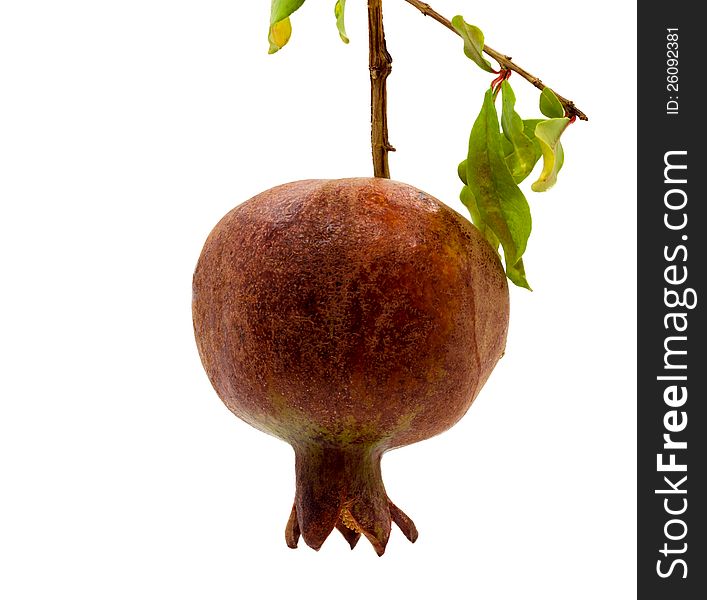 Ripe tropical pomegranate isolated on white background