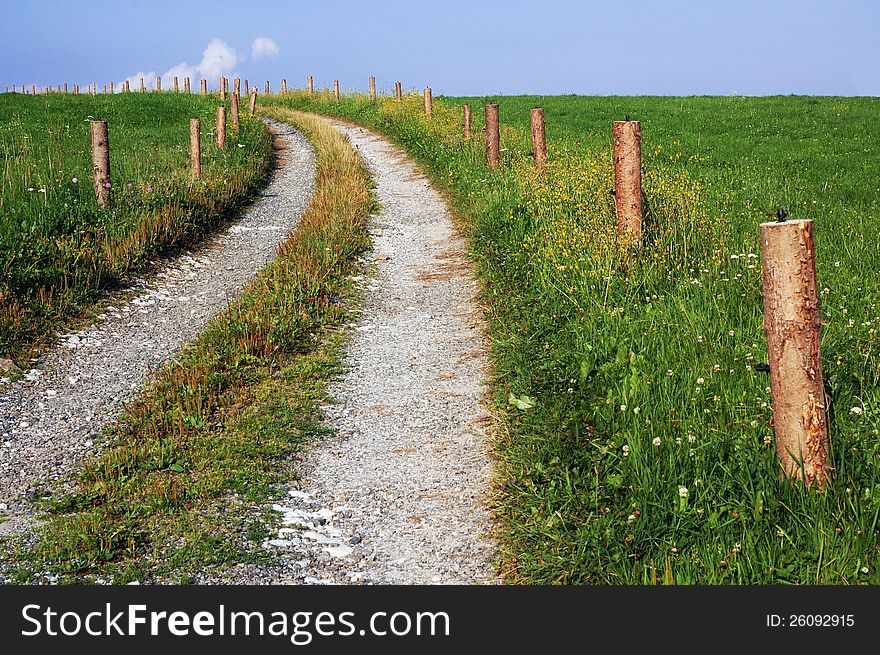 The path through meadow.