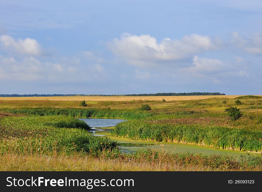 Lake in the field in the countrysid