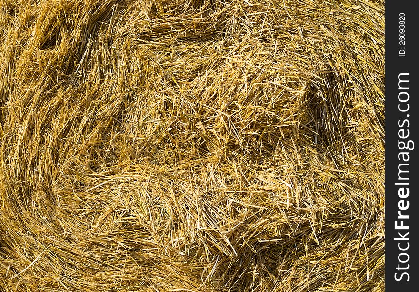 Hay texture. High detailed this a image. Hay texture. High detailed this a image