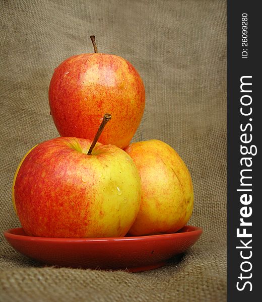 Tasty and ripe apple on the grey background. Tasty and ripe apple on the grey background