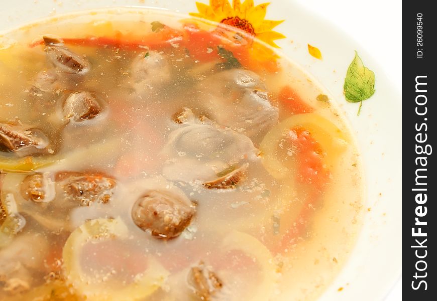 Appetizing Soup with Chicken giblets in plate over white