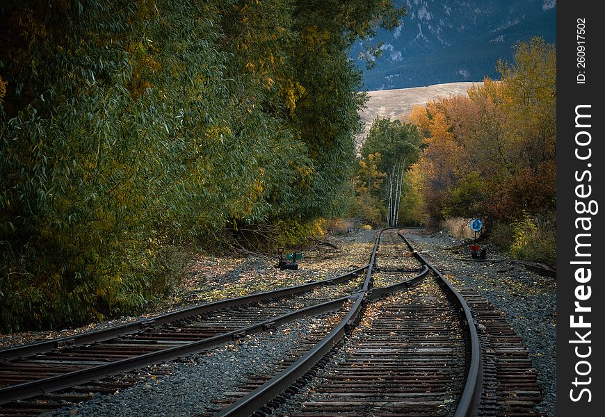 A stretch of railroad tracks, surrounded by fall foliage