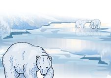 Polar Bear On Ice Royalty Free Stock Photo Polar Bear On Ice Royalty Free Stock Photo