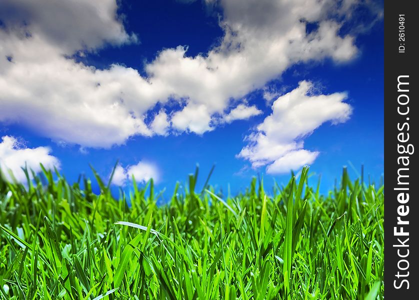 Brilliant emerald grass with beautiful cloudy summer sky - close-up. Brilliant emerald grass with beautiful cloudy summer sky - close-up