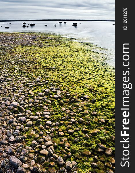 Low tide on a Finish gulf shore,North-West Russia