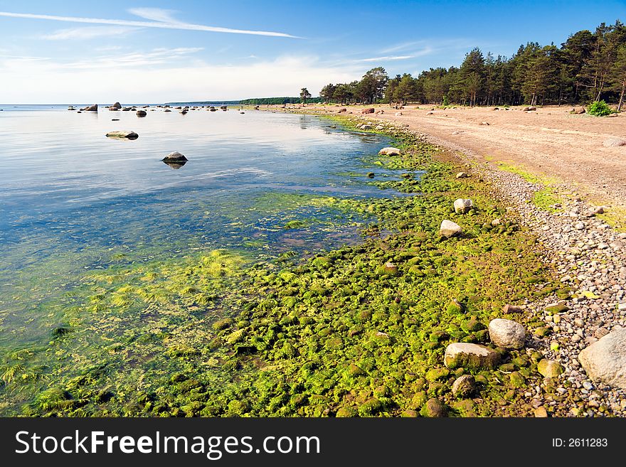 Low Tide