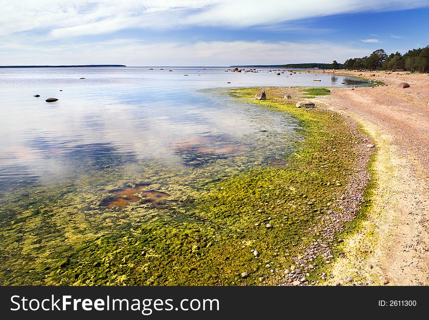 Low tide on a Finish gulf shore,North-West Russia