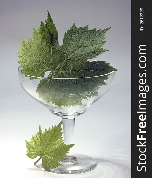Crystal Glass And Green Leaf