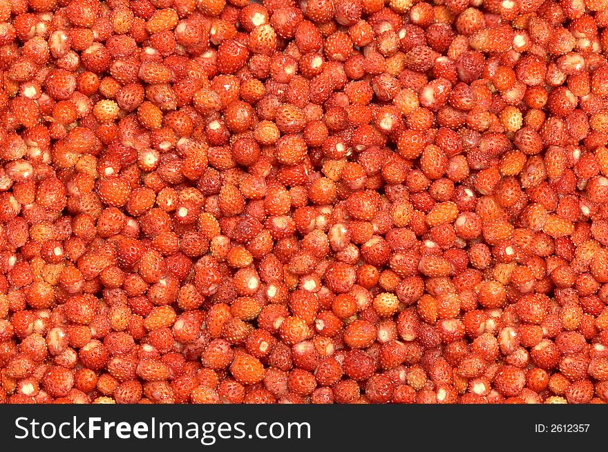 Fresh and ripe wild strawberry as a background