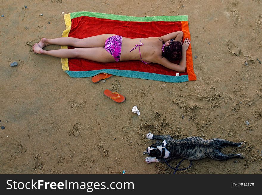 Girl And Dog On The Beach