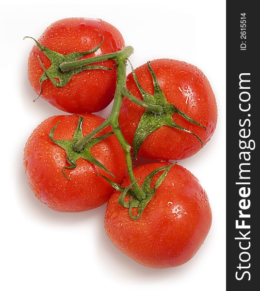 Close up view of the dewed tomatos