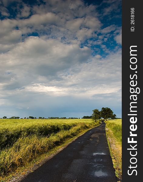 Road through countryside in Poland. Road through countryside in Poland