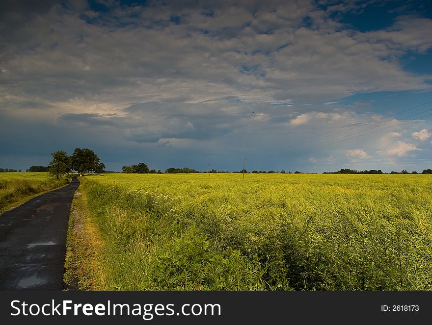 Road through countryside in Poland. Road through countryside in Poland