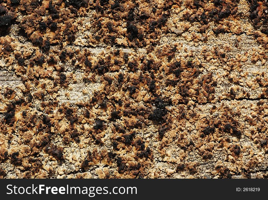 An abstract grunge wooden texture