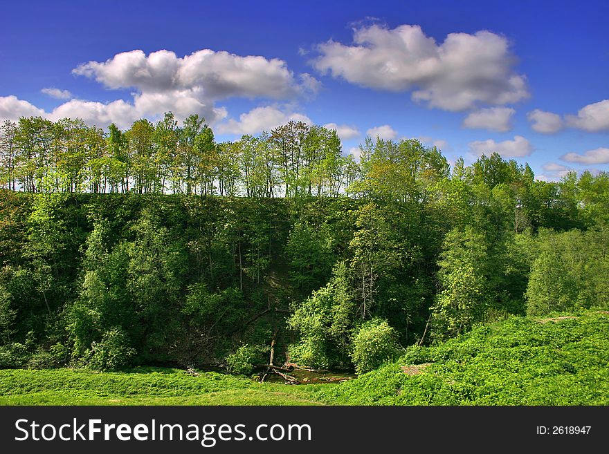 The green trees under the blue sky with clouds. The green trees under the blue sky with clouds