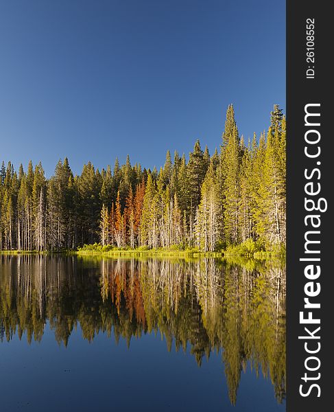 High sierra lake with mirror reflection and blue skies. High sierra lake with mirror reflection and blue skies